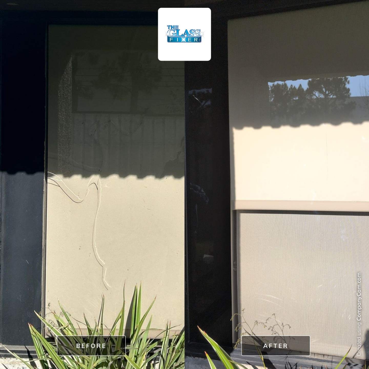 Bronze Glass Replacement With Partial Blackout Film – Commercial Building in Anaheim, CA