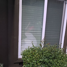 Glass-Replacement-of-Low-e-Dual-Pane-Glass-Unit-that-was-Broken-in-Anaheim-CA 1