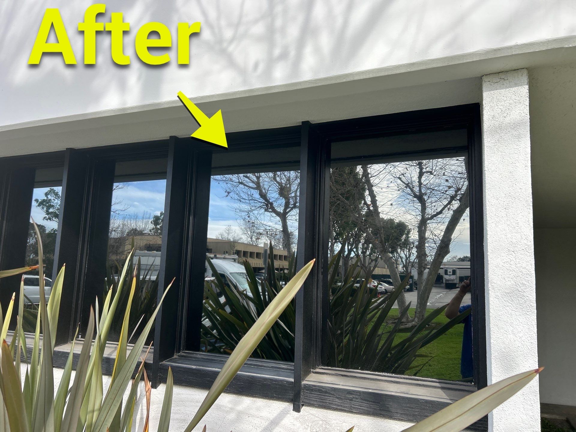 Mirrored Finish Gray Tempered Glass Replacement in Wood-Framed Commercial Window – Irvine, CA